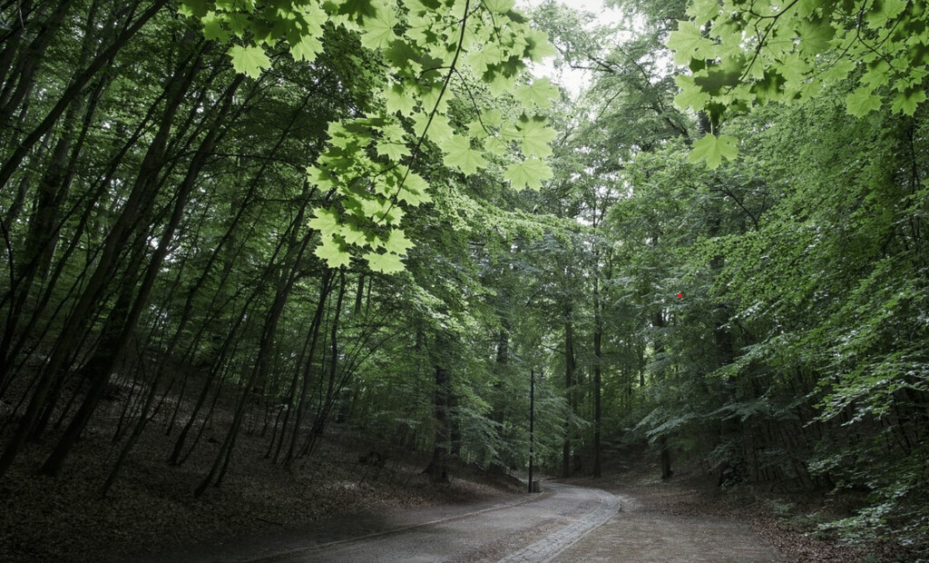 Nowe 2 pokoje na kameralnym osiedlu na Brętowie