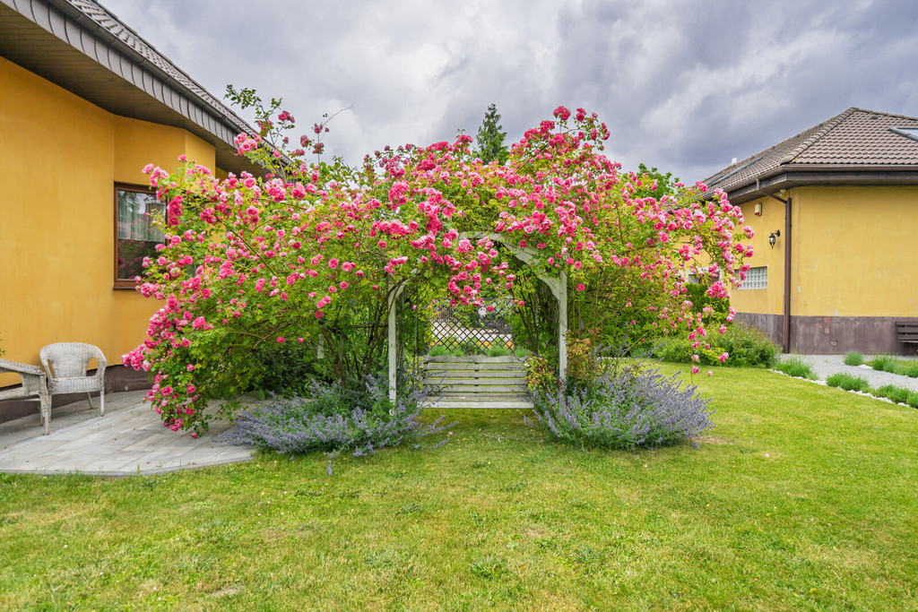 Ekskluzywny dom z dużą działką w Tuchomiu