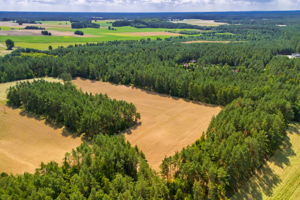 Kompleks 14 działek budowlanych w Niesiołowicach