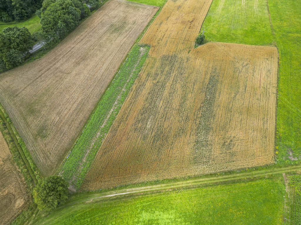 Działki budowlane w Sianowie