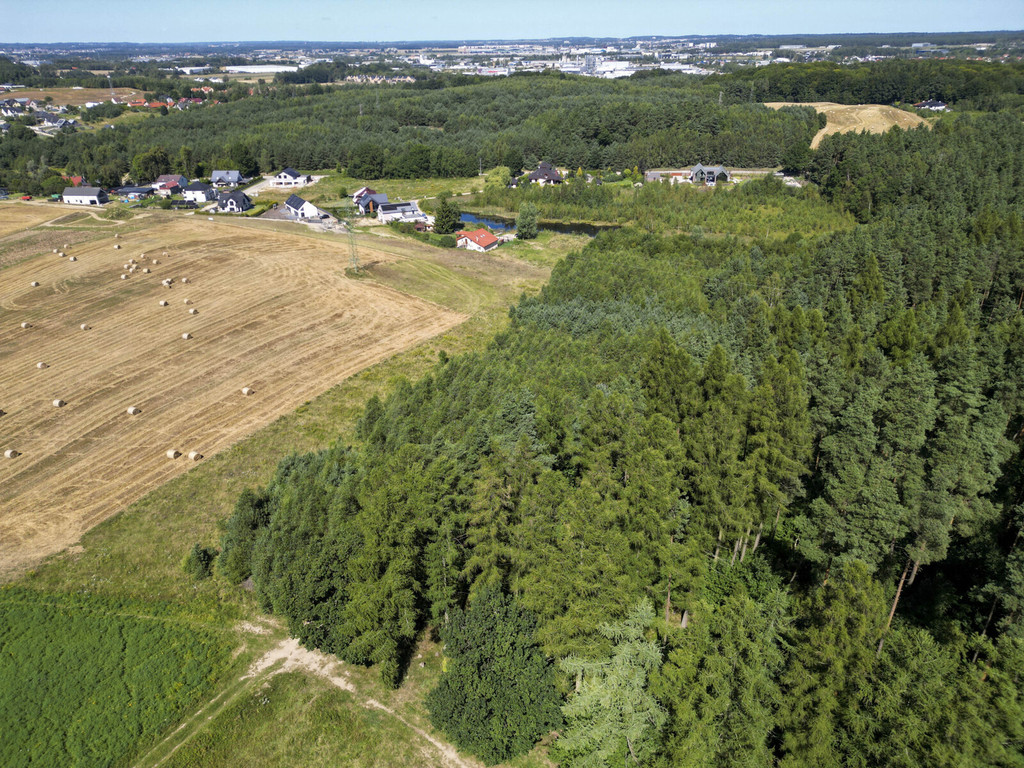 Działka – 25 240 m² – Gdańsk Kokoszki/Smęgorzyno