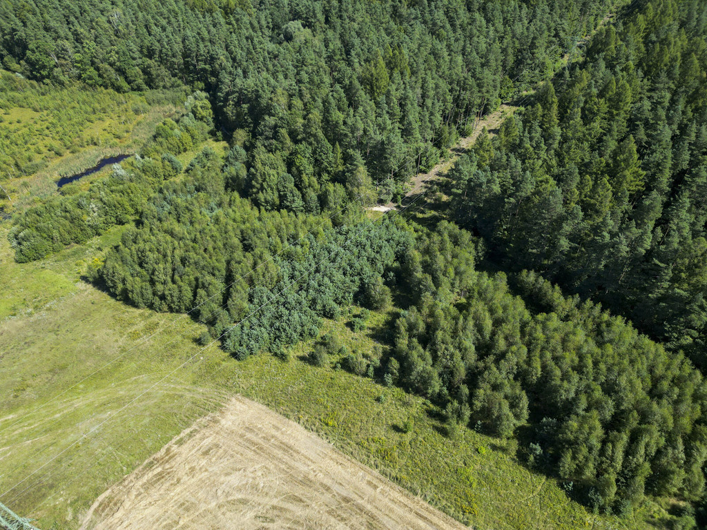 Działka – 25 240 m² – Gdańsk Kokoszki/Smęgorzyno