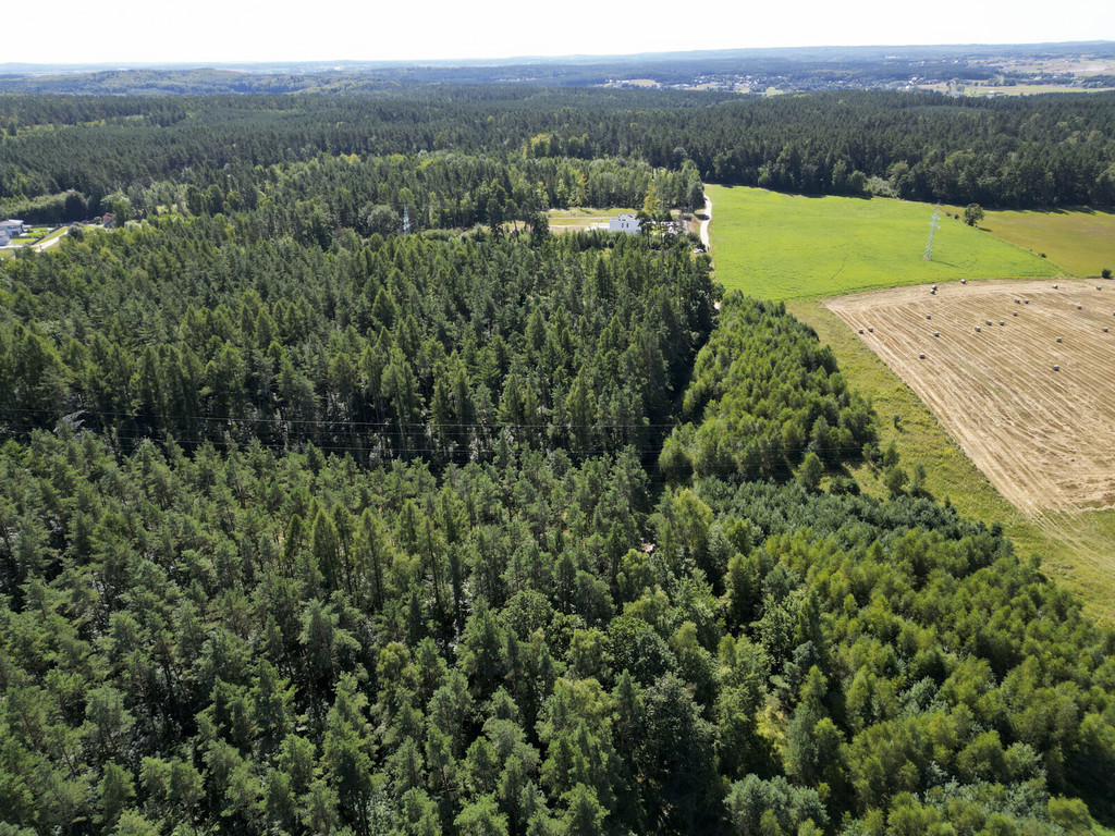 Działka – 25 240 m² – Gdańsk Kokoszki/Smęgorzyno