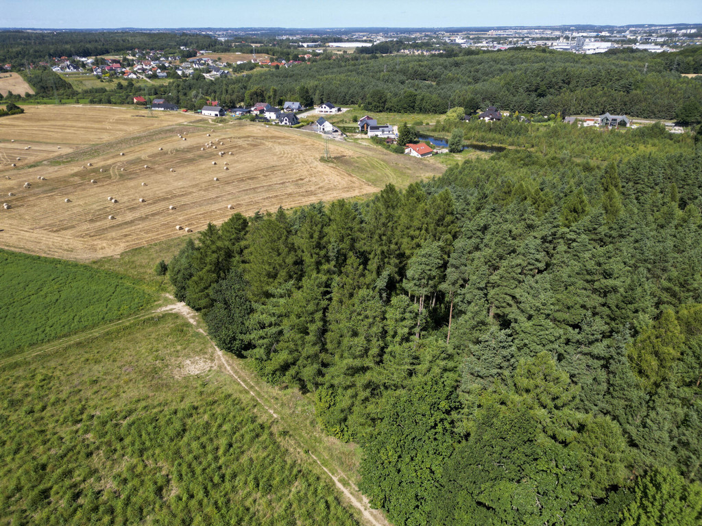 Działka – 25 240 m² – Gdańsk Kokoszki/Smęgorzyno