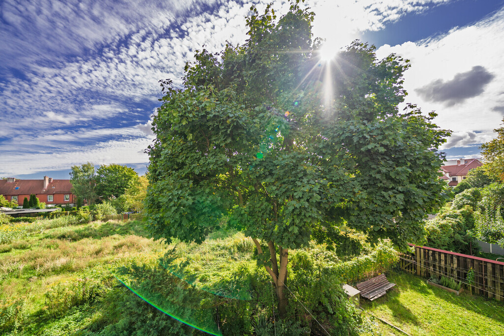 Przytulne 2 pokoje | taras 36 m2 | Wrzeszcz