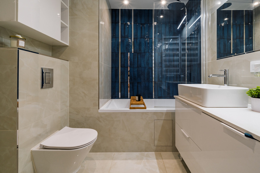 LOFT gotowy do wprowadzenia | południowy - zachód