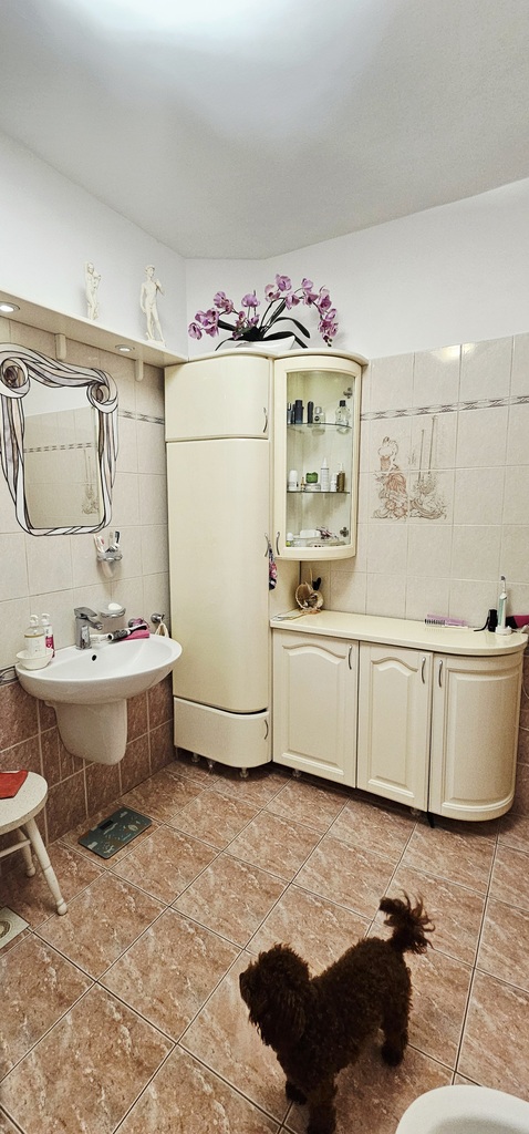 Dom na sprzedaż Wapnica 270 m2 | Arka Nieruchomości