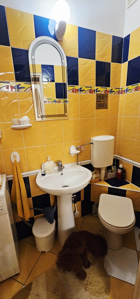 Dom na sprzedaż Wapnica 270 m2 | Arka Nieruchomości