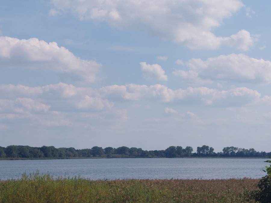 Działka na sprzedaż Dziwnówek 800 m2 | Arka Nieruchomości