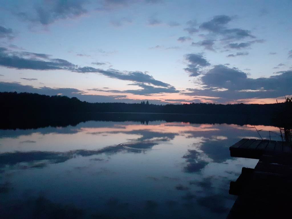 Działka na sprzedaż Sielsko 3 298 m2 | Arka Nieruchomości