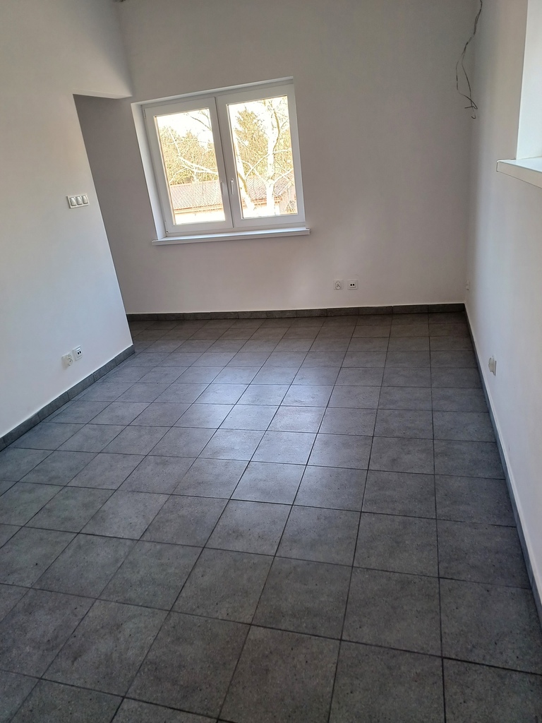 Lokal na wynajem Szczecin, Dąbie 98 m2 | Arka Nieruchomości