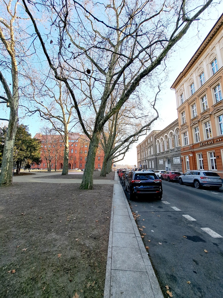 Lokal na wynajem Szczecin, Nowe Miasto 56 m2 | Arka Nieruchomości