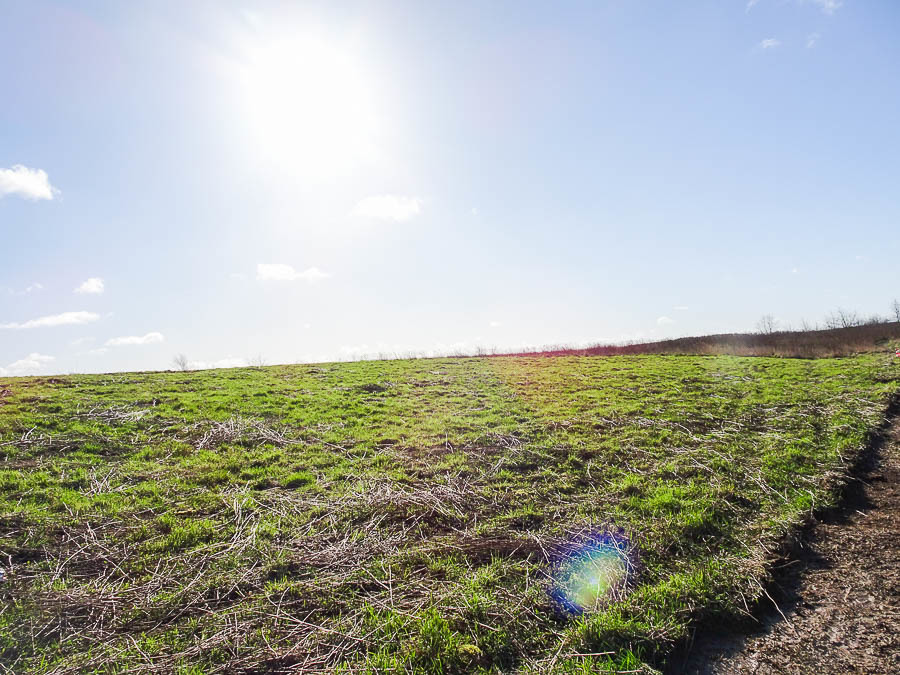 Działka na sprzedaż Dobra 2 001 m2 | Arka Nieruchomości