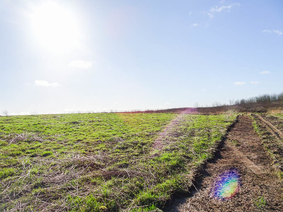 Działka na sprzedaż Dobra 2 001 m2 | Arka Nieruchomości