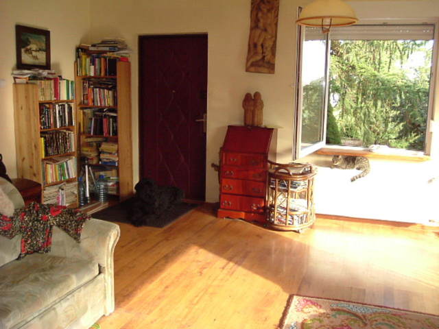 Działka na sprzedaż Kobylanka 1 300 m2 | Arka Nieruchomości