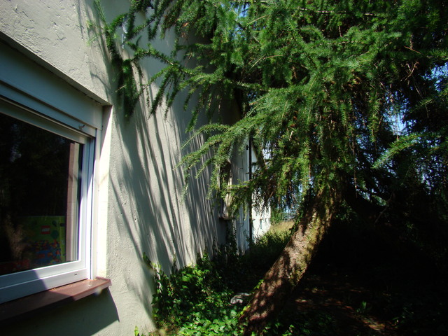 Działka na sprzedaż Kobylanka 1 300 m2 | Arka Nieruchomości