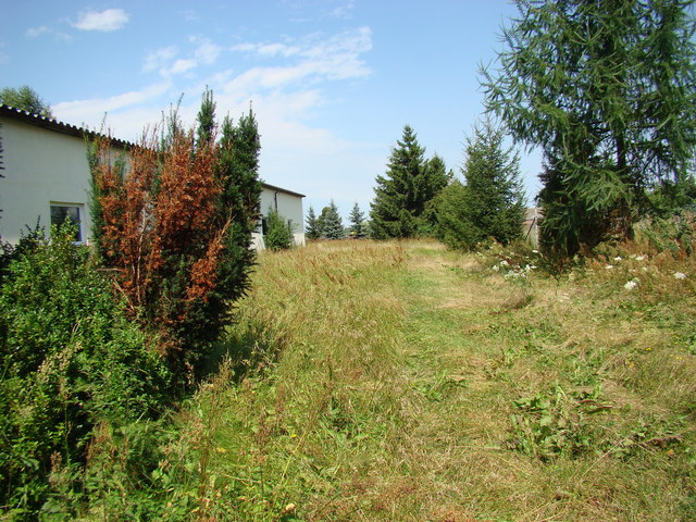 Działka na sprzedaż Kobylanka 1 300 m2 | Arka Nieruchomości