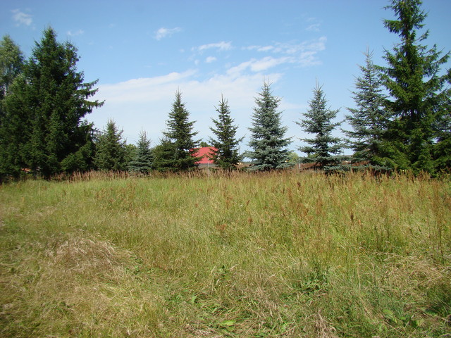 Działka na sprzedaż Kobylanka 1 300 m2 | Arka Nieruchomości