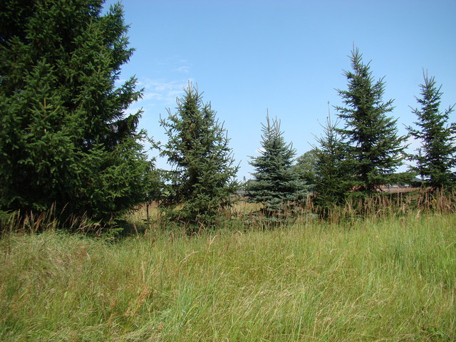 Działka na sprzedaż Kobylanka 1 300 m2 | Arka Nieruchomości