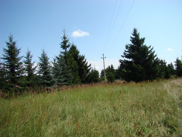 Działka na sprzedaż Kobylanka 1 300 m2 | Arka Nieruchomości