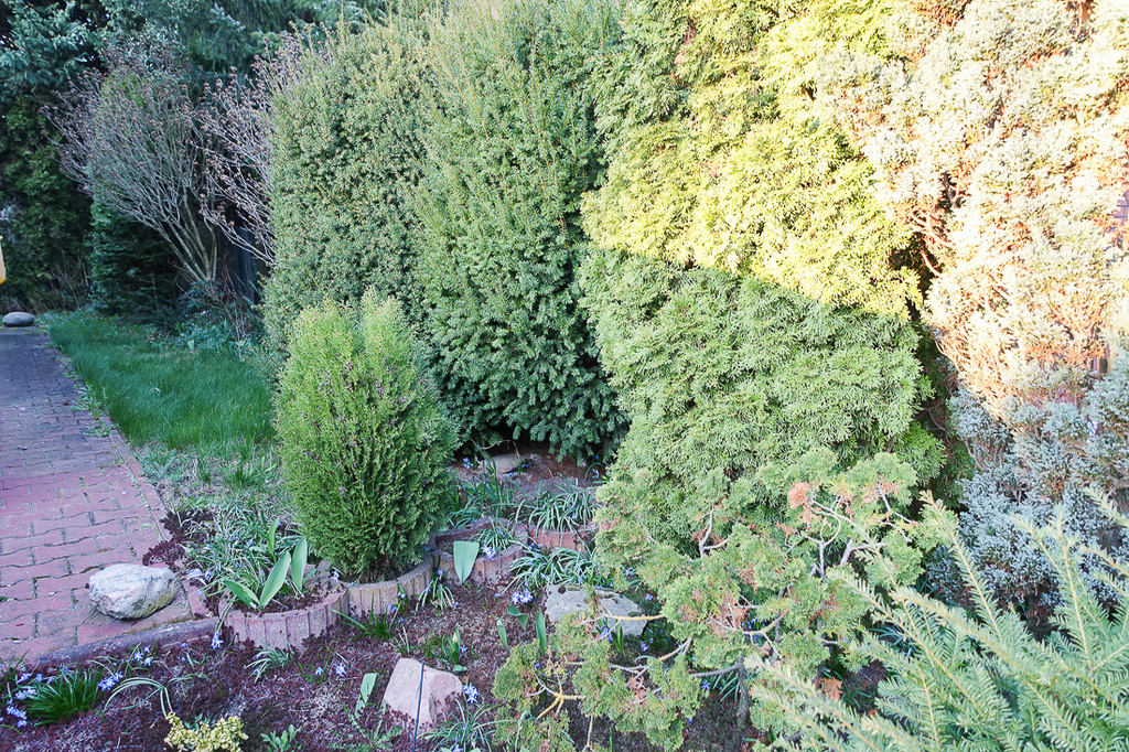 Dom na sprzedaż Szczecin, Gumieńce 250 m2 | Arka Nieruchomości