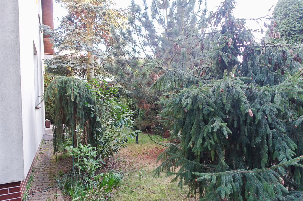 Dom na sprzedaż Szczecin, Gumieńce 250 m2 | Arka Nieruchomości