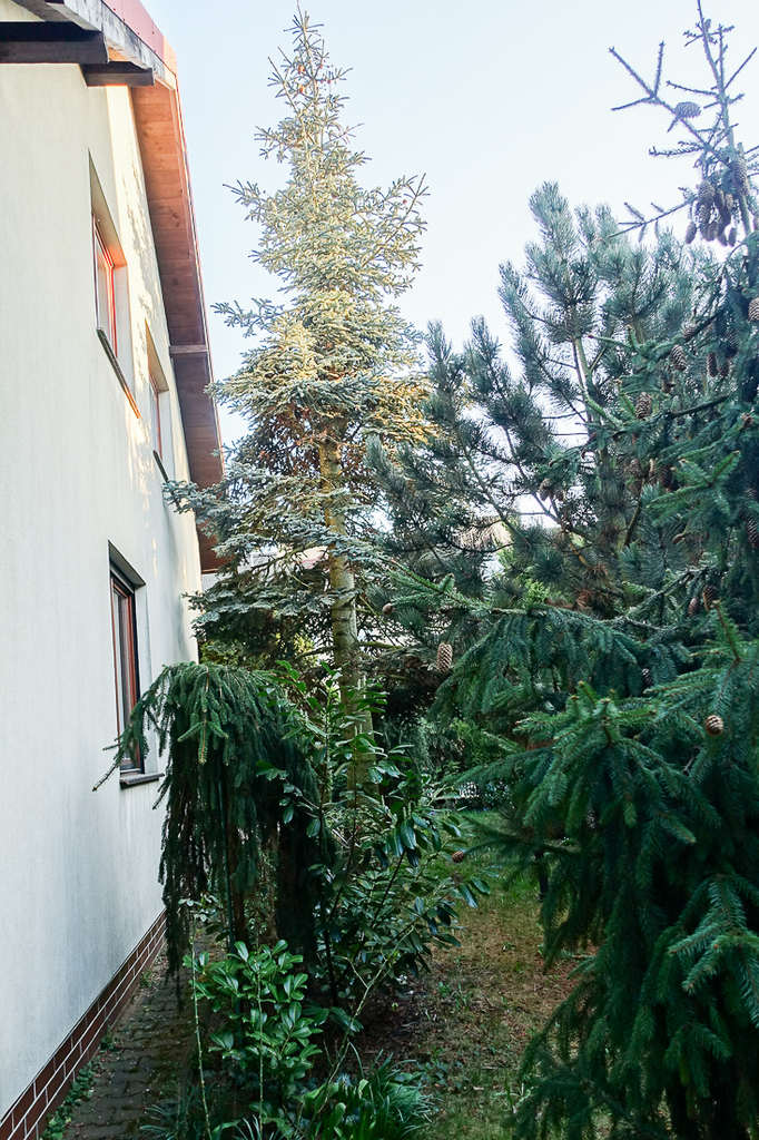 Dom na sprzedaż Szczecin, Gumieńce 250 m2 | Arka Nieruchomości