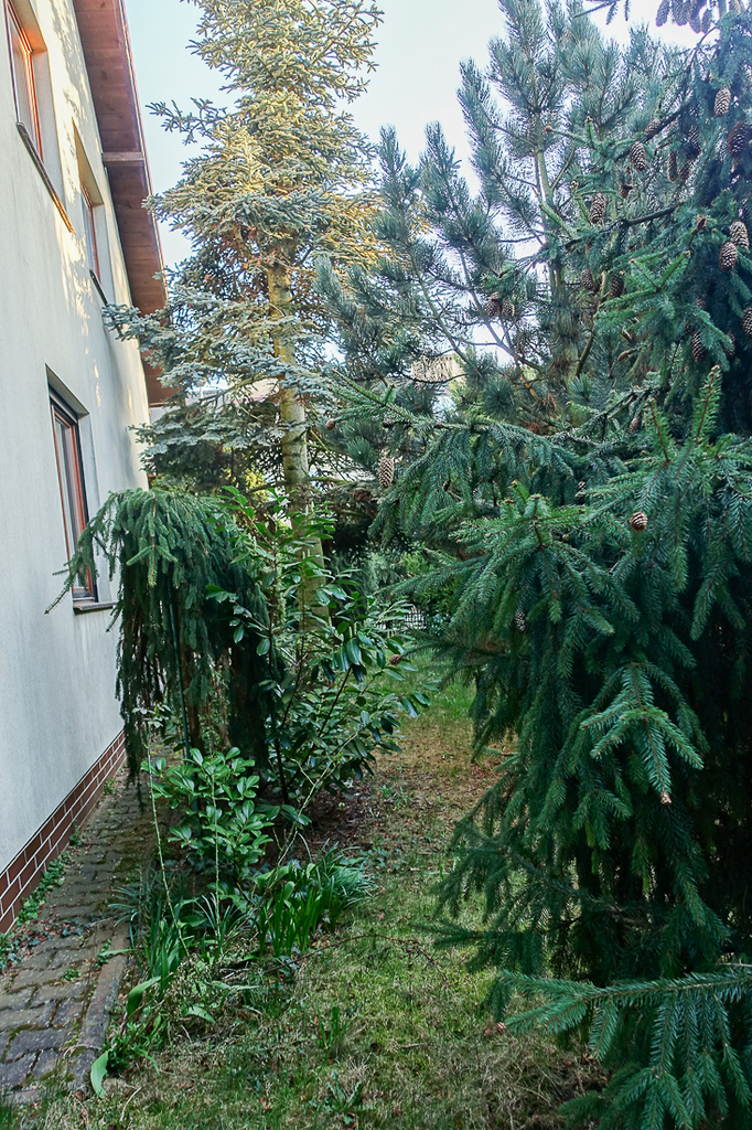 Dom na sprzedaż Szczecin, Gumieńce 250 m2 | Arka Nieruchomości