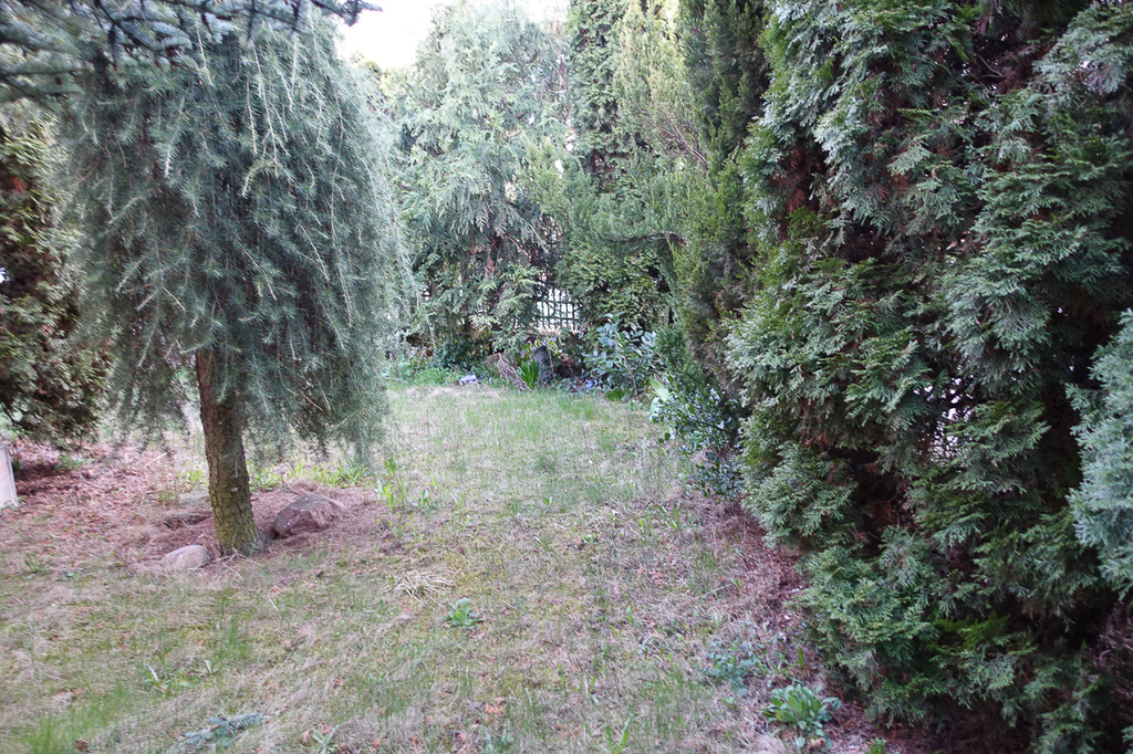 Dom na sprzedaż Szczecin, Gumieńce 250 m2 | Arka Nieruchomości