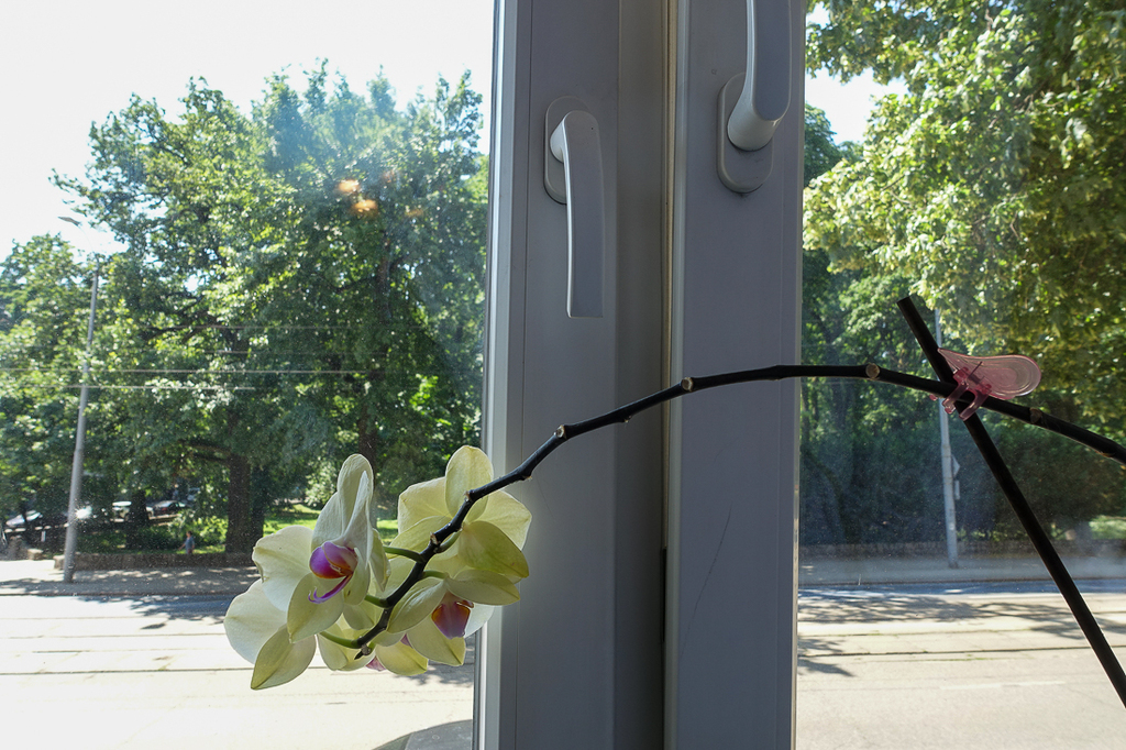 Mieszkanie na sprzedaż Szczecin, Śródmieście 97 m2 | Arka Nieruchomości