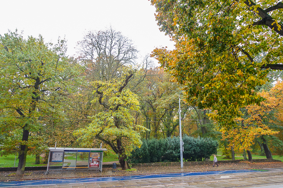 Mieszkanie na sprzedaż Szczecin, Śródmieście 97 m2 | Arka Nieruchomości