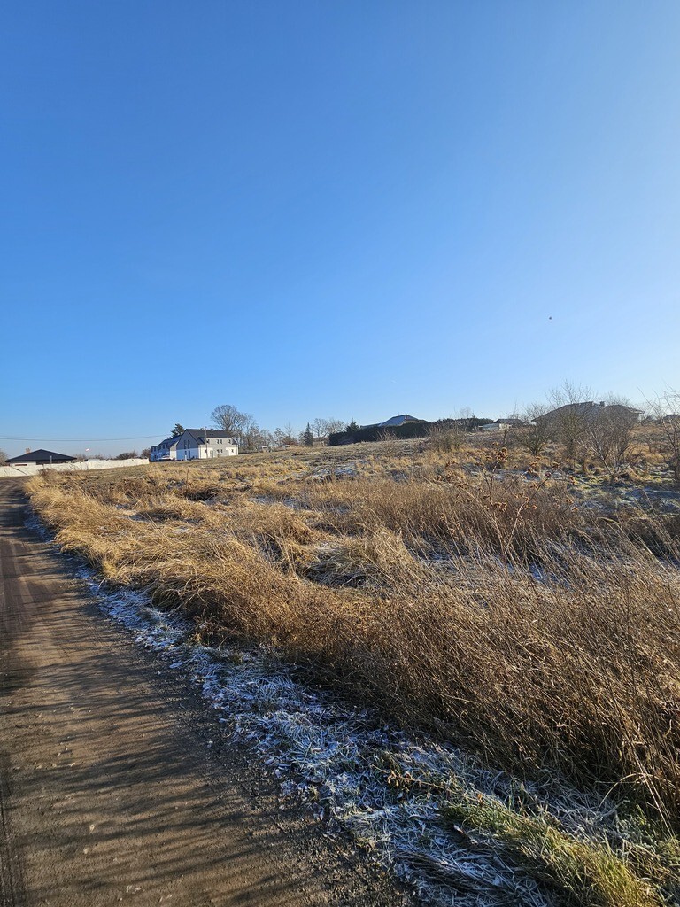 Działka na sprzedaż Mierzyn 4 700 m2 | Arka Nieruchomości
