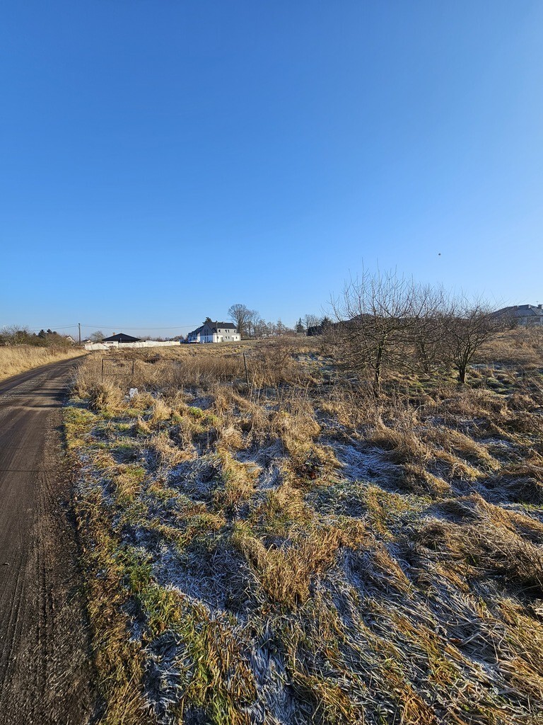Działka na sprzedaż Mierzyn 4 700 m2 | Arka Nieruchomości