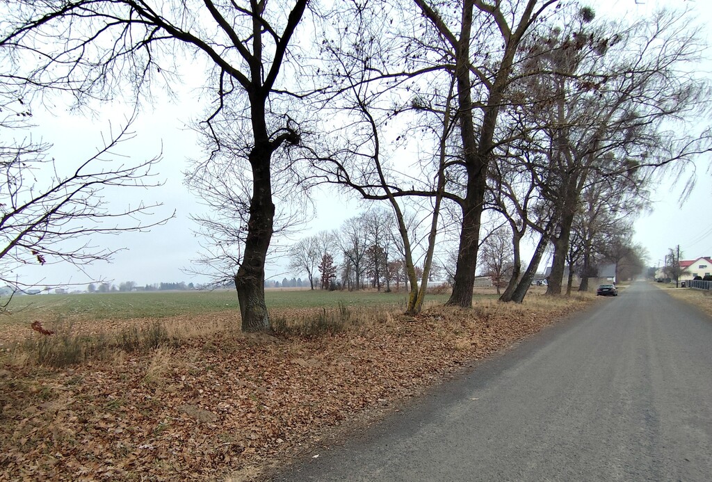 Działka na sprzedaż Wojcieszyn 2 486 m2 | Arka Nieruchomości