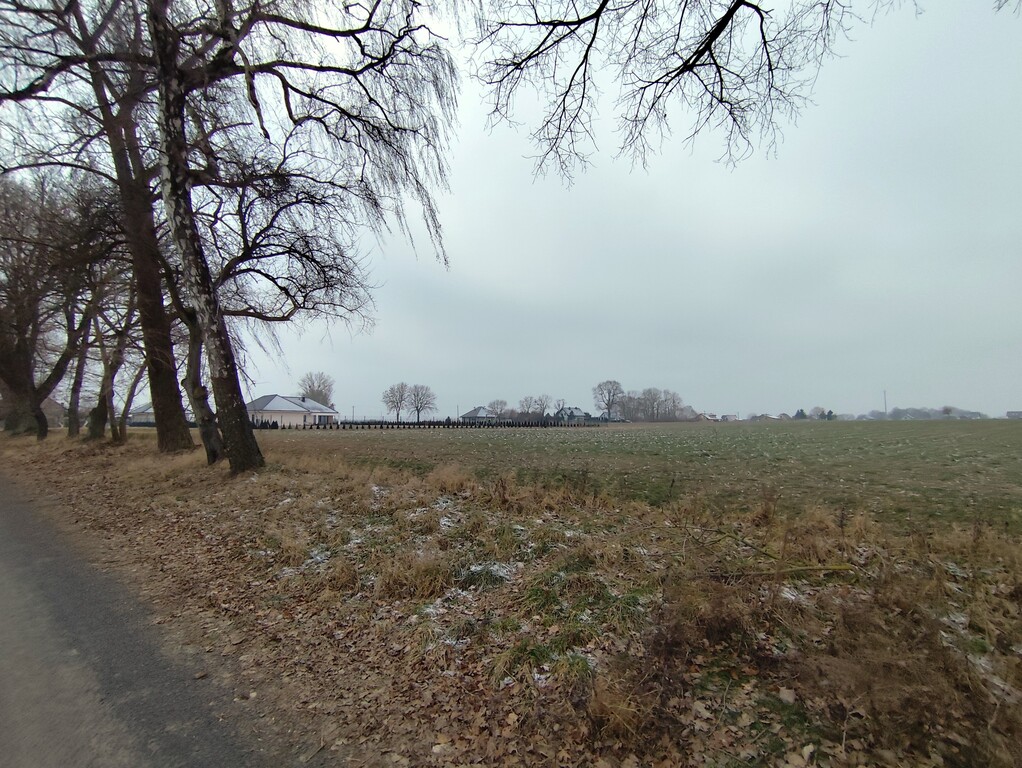 Działka na sprzedaż Wojcieszyn 2 666 m2 | Arka Nieruchomości