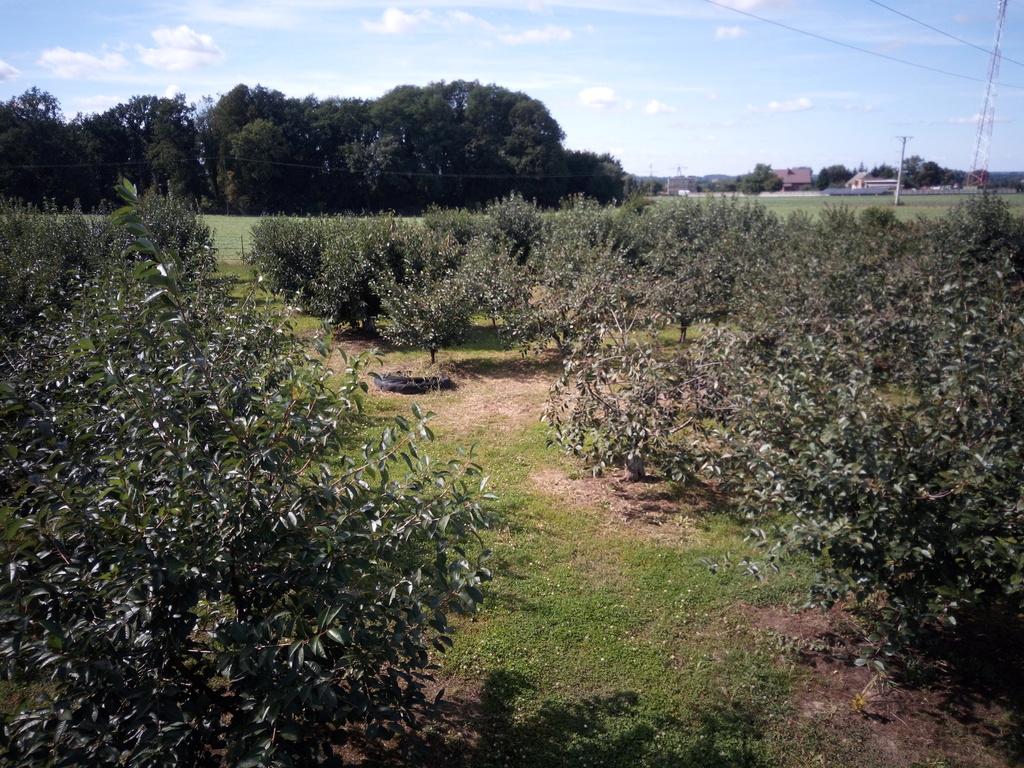 Działka na sprzedaż Banie 19 447 m2 | Arka Nieruchomości