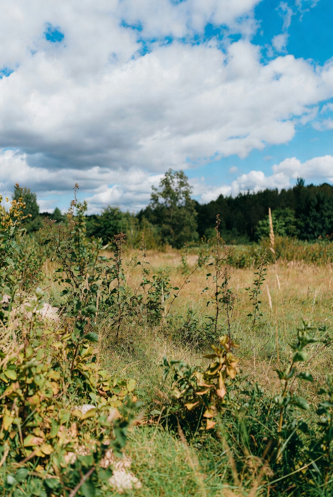 Działka na sprzedaż Trzechel 21 200 m2 | Arka Nieruchomości