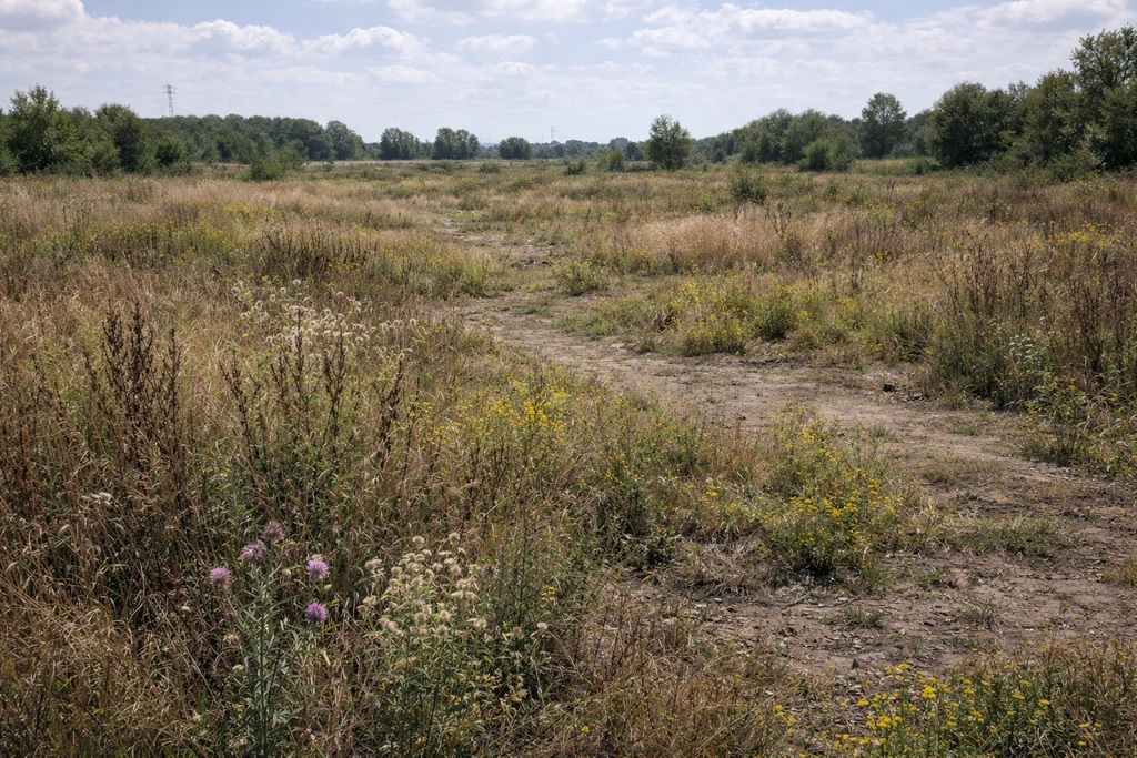 Działka na sprzedaż Niewiadowo 3 102 m2 | Arka Nieruchomości