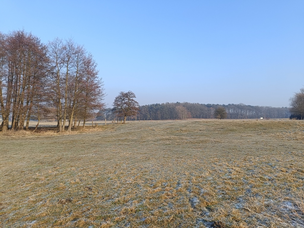 Działka na sprzedaż Tanowo 1 288 m2 | Arka Nieruchomości