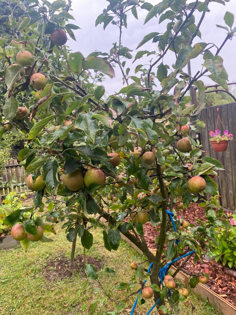 Dom na sprzedaż Szczecin, os. Skarbówek 90 m2 | Arka Nieruchomości