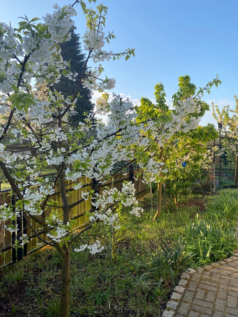 Dom na sprzedaż Szczecin, os. Skarbówek 90 m2 | Arka Nieruchomości