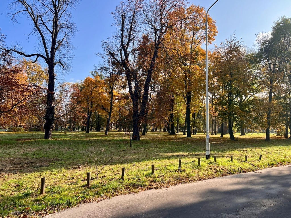Zdjęcie nieruchomości