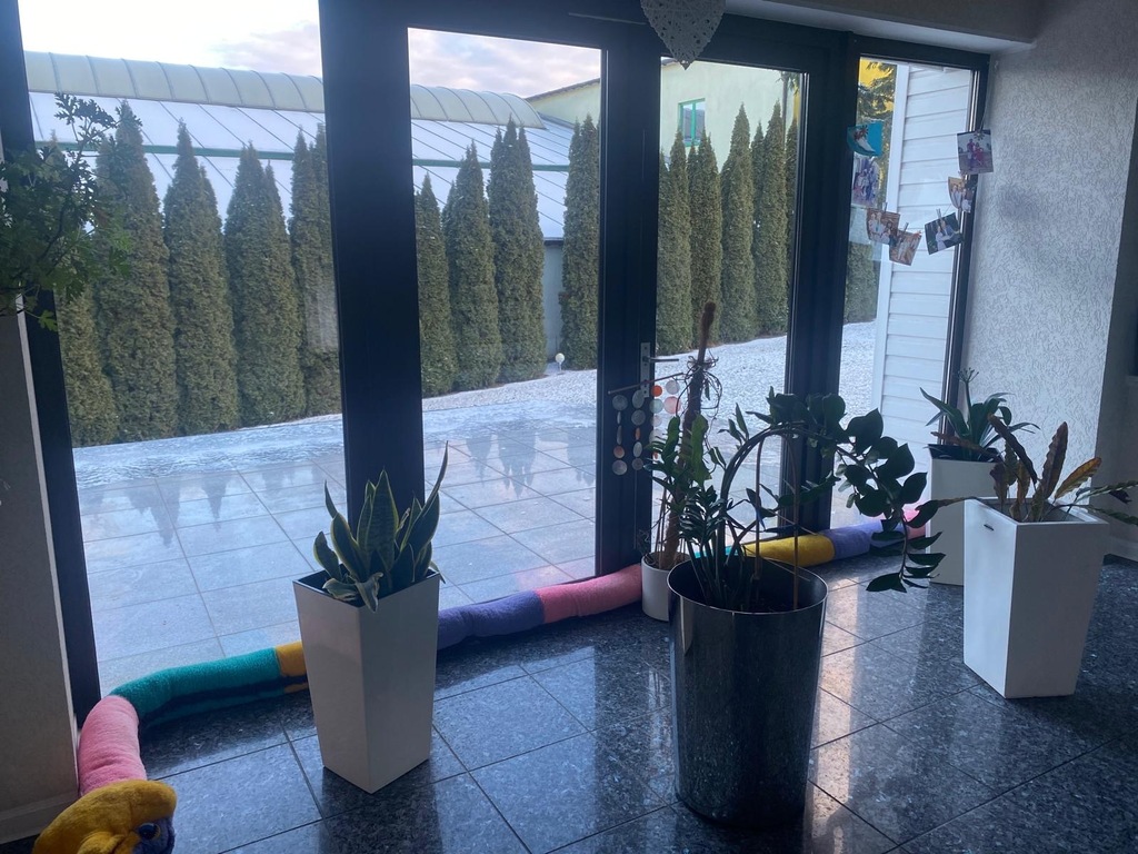 Dom na sprzedaż Szczecin, Dąbie 460 m2 | Arka Nieruchomości