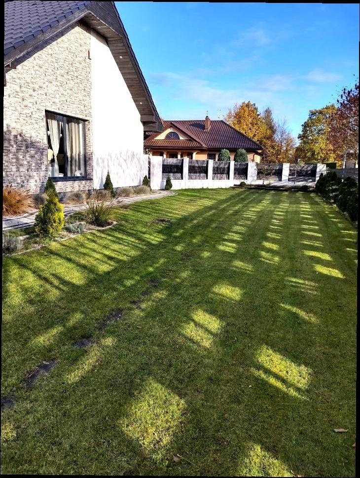 Zdjęcie 12