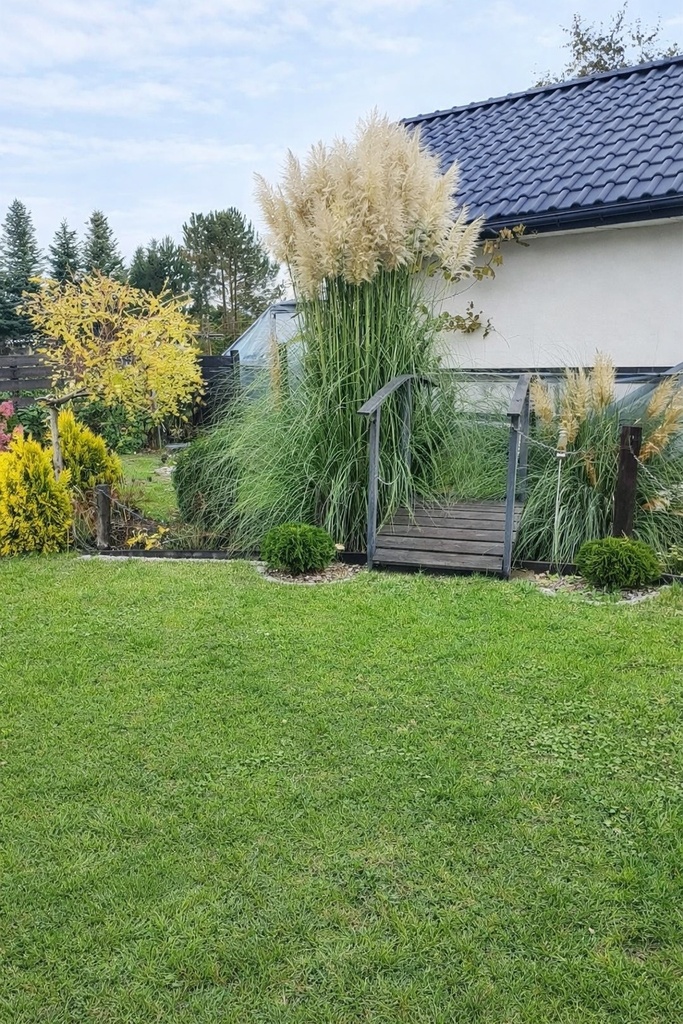 Zdjęcie 14