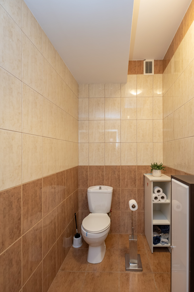 Obiekt na sprzedaż Daleszewo 449 m2 | Arka Nieruchomości