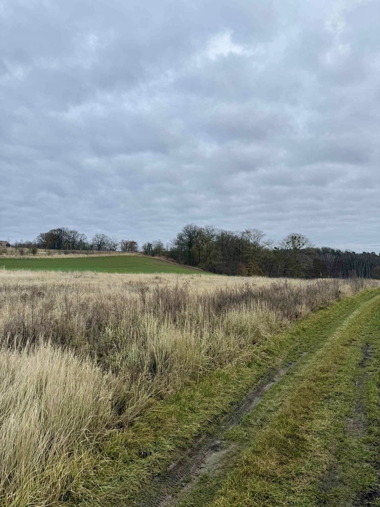 Działka na sprzedaż Kamieniec 3 006 m2 | Arka Nieruchomości