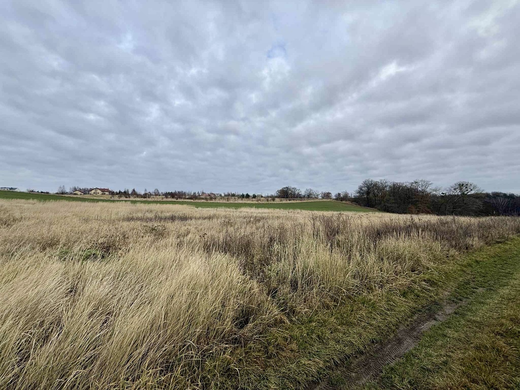 Działka na sprzedaż Kamieniec 3 006 m2 | Arka Nieruchomości