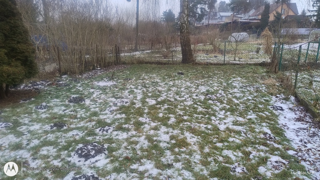 Mieszkanie na sprzedaż Lipiany 138 m2 | Arka Nieruchomości