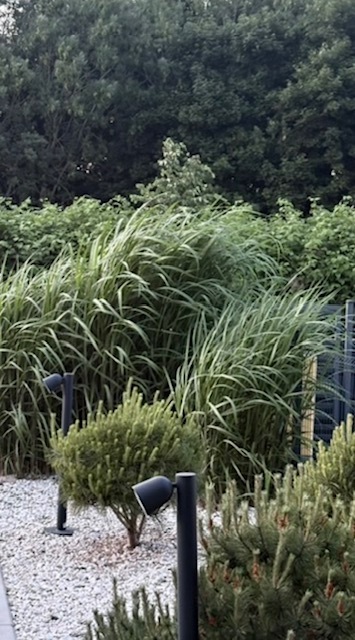 Dom na sprzedaż Kołobrzeg 143 m2 | Arka Nieruchomości